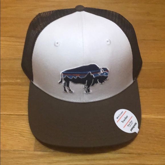 Patagonia Other - Patagonia Fitz Roy bison trucker hat new